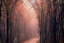 德信体育官网：【亚冠】再负横滨水手，山东泰山队遗憾止步八强.