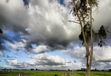 德信体育平台：英超第15輪曼聯1-0水晶宮 弗雷德吊射世界波.